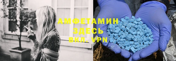прущие грибы Баксан