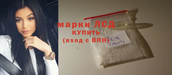 прущие грибы Баксан