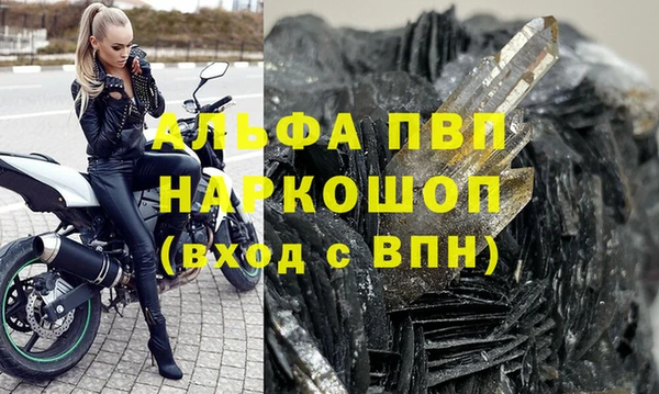 прущие грибы Баксан