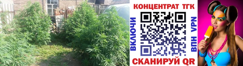 Дистиллят ТГК THC oil  Сегежа 