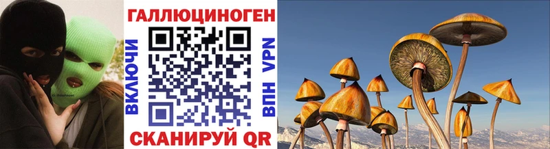 Псилоцибиновые грибы MAGIC MUSHROOMS  Сегежа 